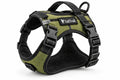 Everyday Adjustable Dog Harness