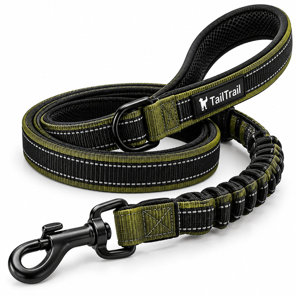 Heavy-Duty Walking Leash