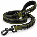 Heavy-Duty Walking Leash