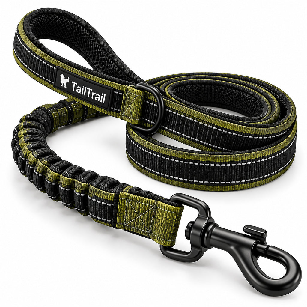 Heavy-Duty Walking Leash