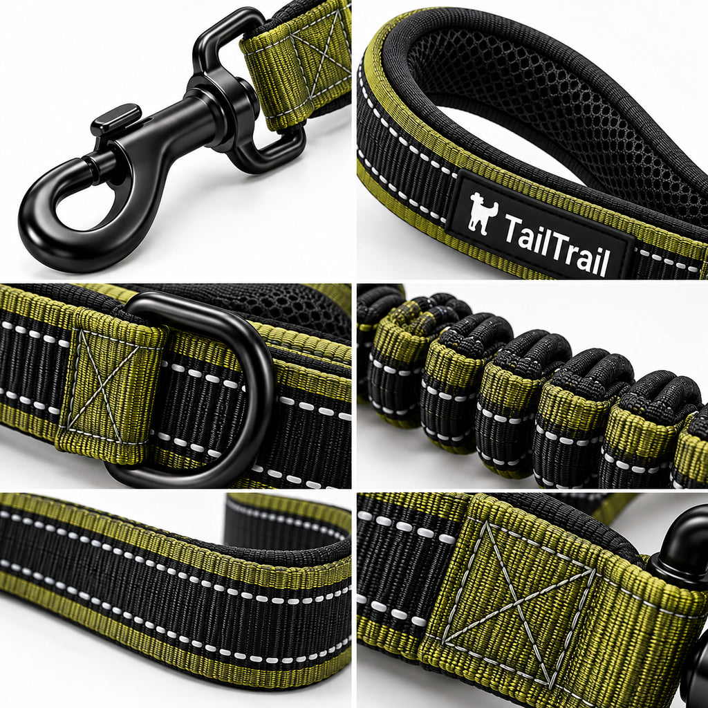 Heavy-Duty Walking Leash
