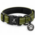 Everyday Collar with ID Tag