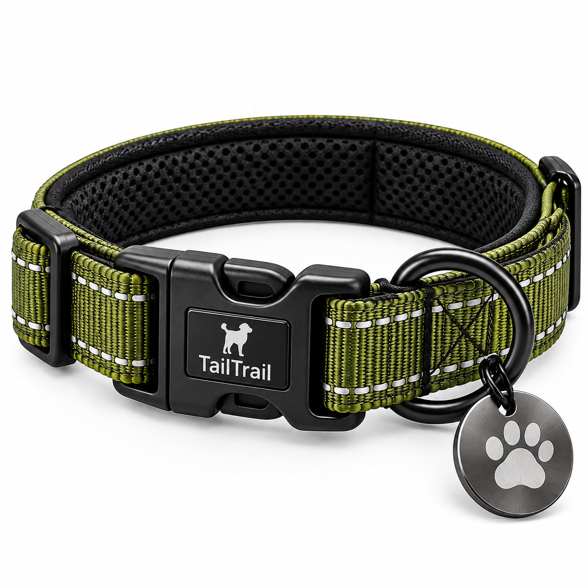 Everyday Collar with ID Tag