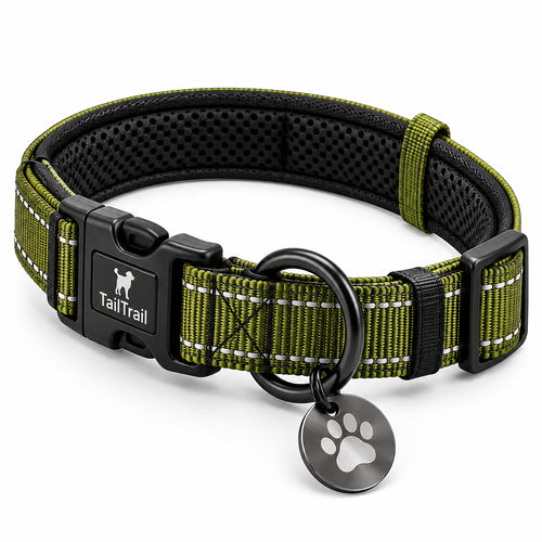 Everyday Collar with ID Tag