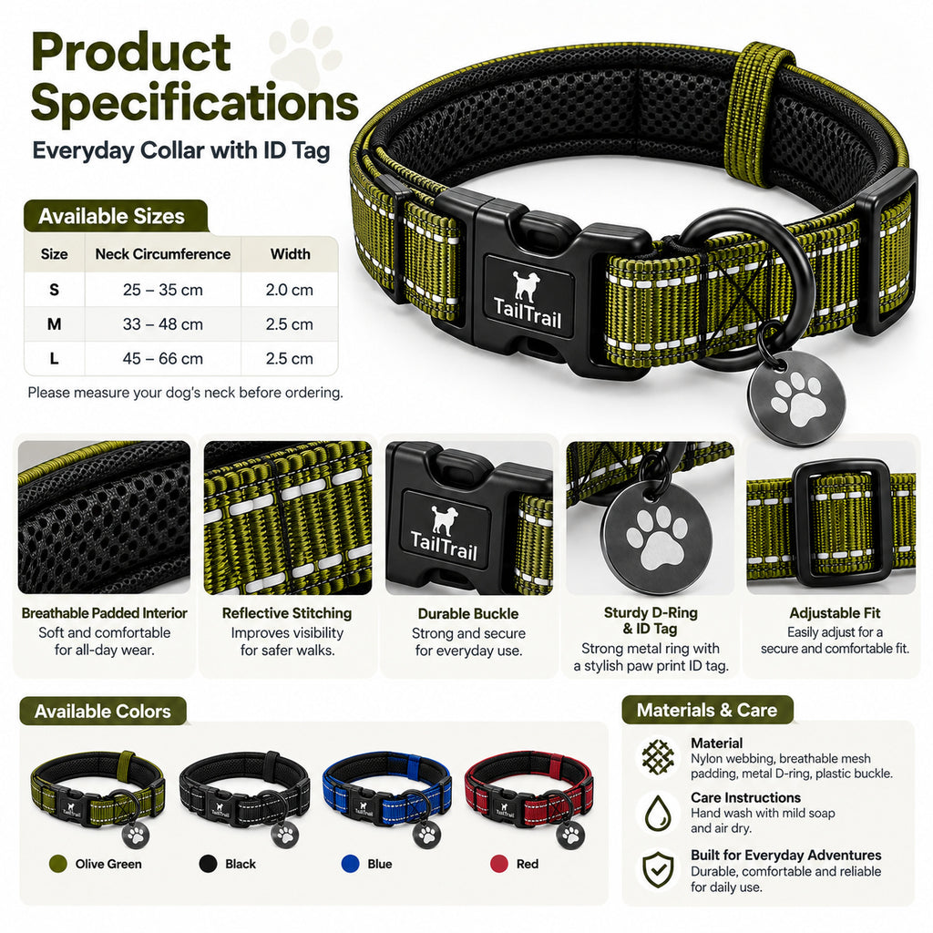 Everyday Collar with ID Tag