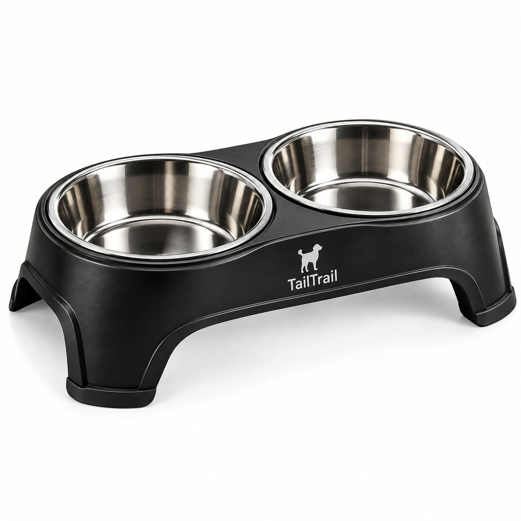 Stainless Steel Double Bowl Set