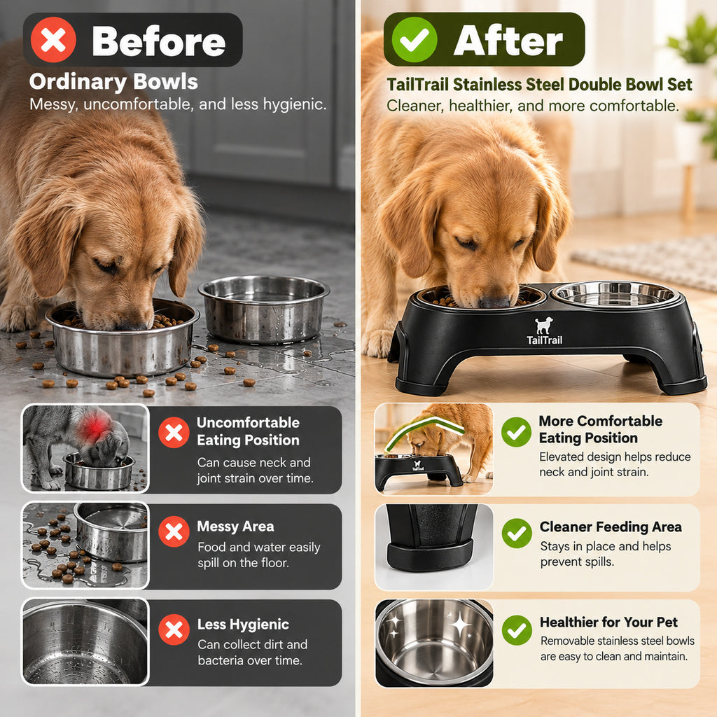 Stainless Steel Double Bowl Set