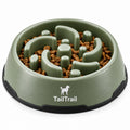 Slow-Feeder Puzzle Bowl
