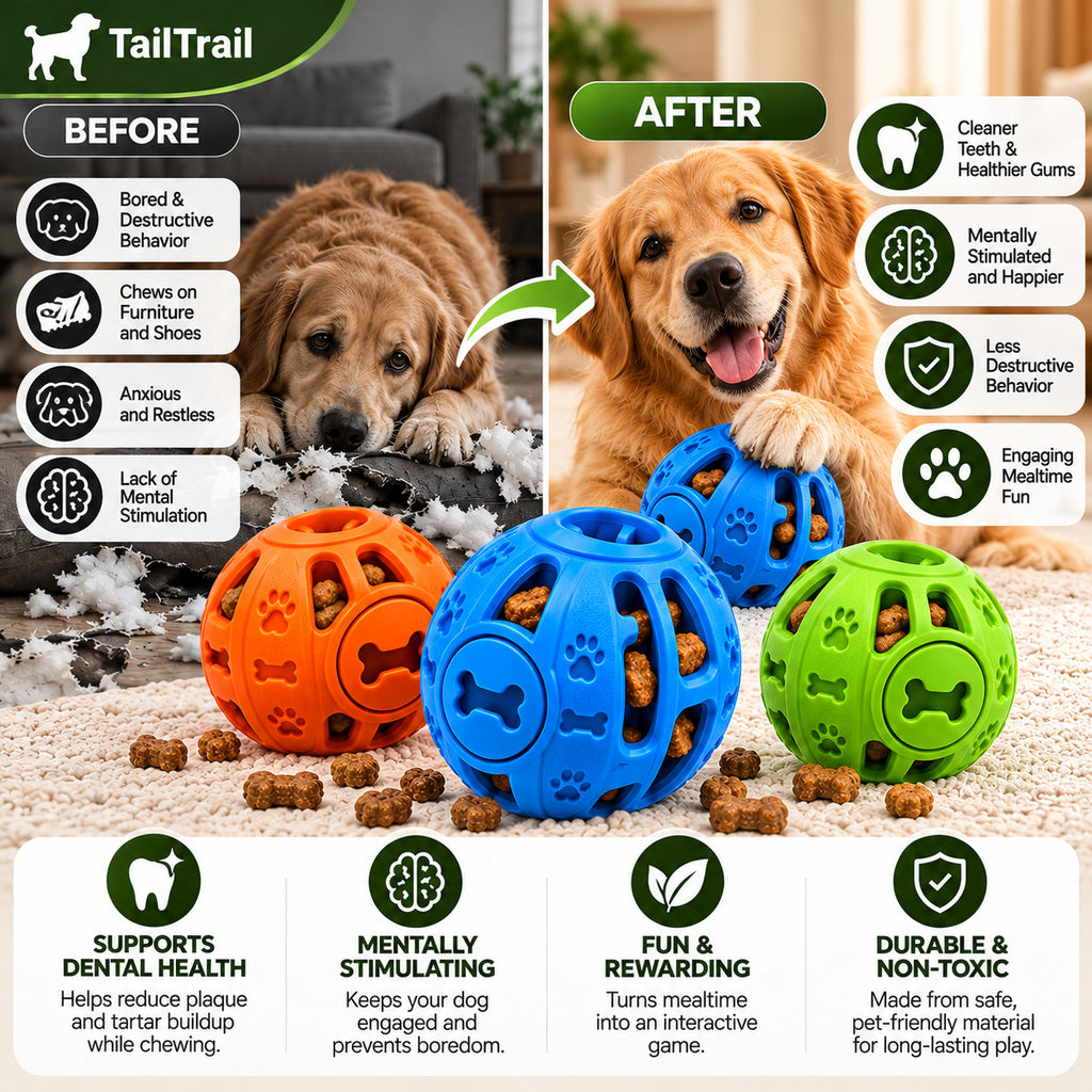 Treat-Dispensing Puzzle Ball